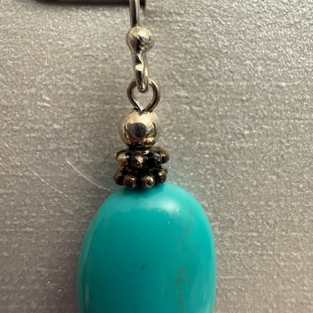 Sterling Silver and Turquoise Earrings from Steinmart